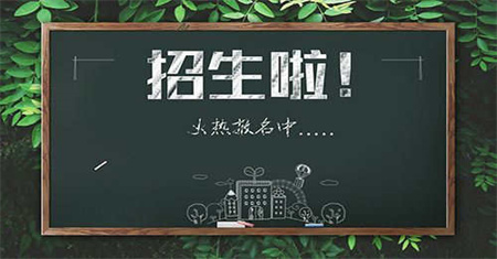 廣州裝載機需要什么條件大概多少錢